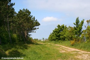 Karwieńskie Błoto Drugie